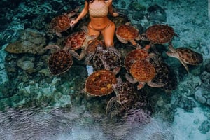 Занзибар: плавание с морскими черепахами и тур по Джозани