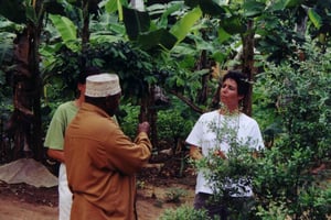 Zanzíbar: visita a una granja de algas y especias con almuerzo