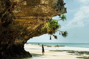 Zanzibar: Secret Beach, Kuza Cave e Jozani con trasferimento