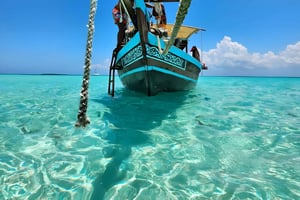 Kizimkazi : Excursion sur l'île de Pungume avec masque et tuba et sur les bancs de sable