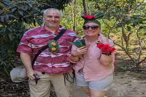 ZANZIBAR: Dagsomvisning på kryddergård, i Jozani-skogen og ved den blå lagunen