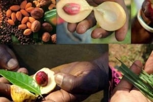 Zanzibar: Spice Tour & Stone Town Walking Tour