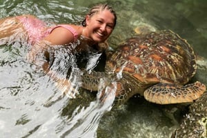 Zanzibar: Stone Town, Burterfly Center og havskildpadder