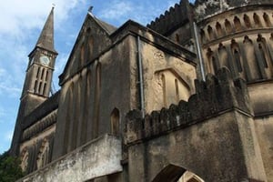 ZANZIBAR: STONE TOWN, PRISON ISLAND & SALAM CAVE Havssköldpaddor