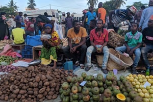 Zanzibar: Stone Town & Spice Farm Tour with Lunch