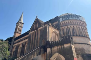 Zanzibar Stone Town rundvandring & Jozani skog