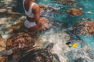 Занзибар: плавание с черепахами в океанариуме Барака и экскурсия по Каменному городу