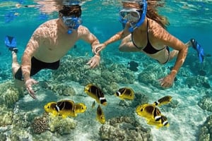 Zanzibar: nuota con le stelle marine e fai snorkeling alla Blue Lagoon