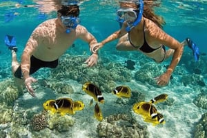 Zanzibar: Svøm med søstjerner og snorkel i Blue Lagoon