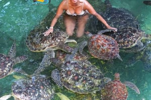 ザンジバル：カメと泳いで、透明カヤックでドローン撮影をお楽しみください