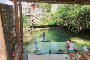 Sansibar: Das Lagunen-Aquarium und eine Dhow-Kreuzfahrt bei Sonnenuntergang