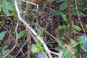 Zanzibar: The Rock Restaurant & Jozani Forest