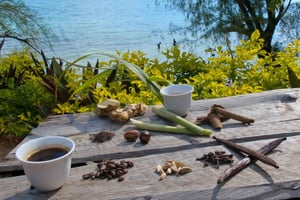 Zanzibar: Swahilin maustekokemus – maustekierros + kulinaarinen matka