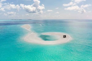 Zanzibar: Tropical Spice Garden Tour, båttur og lunsjpause