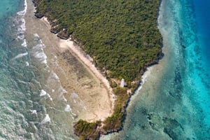 Zanzibar: tour di snorkeling all'isola di Tumbatu con snack