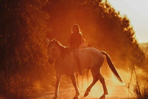 Zanzibar: wyjątkowa przejażdżka konna o zachodzie słońca na plaży Kendwa