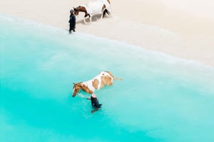 Zanzíbar: paseo a caballo al atardecer por la playa de Kendwa