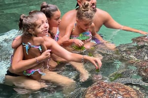 Fauna selvatica di Zanzibar: scimmie di Jozani, rettili e tartarughe