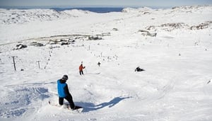 Ben Lomond National Park 