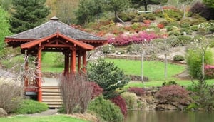 Emu Valley Rhododendron Garden