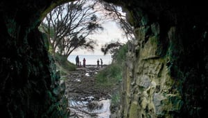 Mayfield Bay Beach and Conservation Area, Tasmania