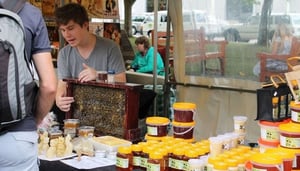 Tasmania's Pulse - Salamanca Market