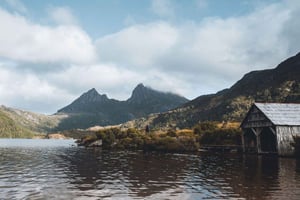 Pacchetto tour di 6 giorni in Tasmania: Icone dell'isola