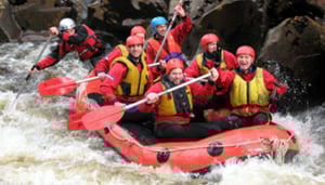 Aardvark Adventures.