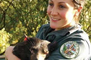 Bonorong Wildlife Sanctuary Halvdagsutflykt från Hobart