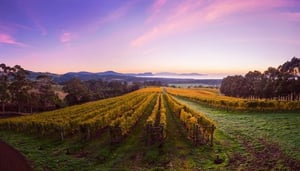 Bream Creek Vineyard