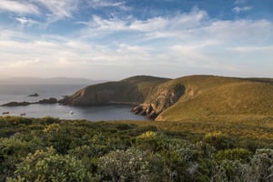 Bruny Island Tour med fyr och 2-rätters vingårdslunch