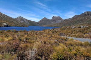 バーニー：クレイドル・マウンテンとドブ湖へのガイド付き6時間ツアー
