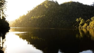 Corinna Wilderness Experience.