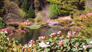 Emu Valley Rhododendron Garden