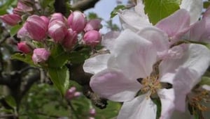 Eureka Farm Products