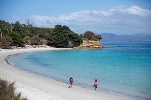 Hobart: Maria Island National Park Aktivt dagsutflykt