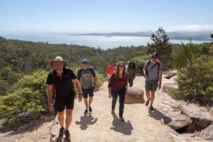 From Launceston: Full-Day Wineglass Bay Explorer Active Tour