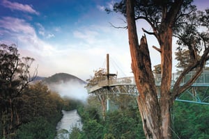 ホバート：ヘイスティングス洞窟、タヒューン エアウォーク、フオン テイスティング トレイル