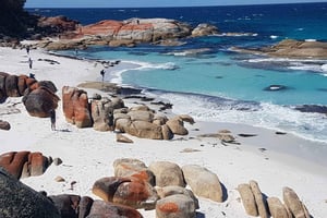 ホバート：4日間ワイルド・タスマニア・ツアー