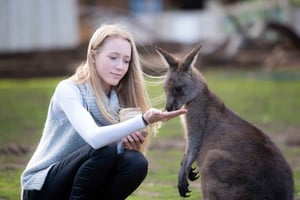 Hobart: Biljett till Bonorong Wildlife Sanctuary