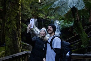 Hobart: Mt Field National Park & Wildlife Shore Excursion