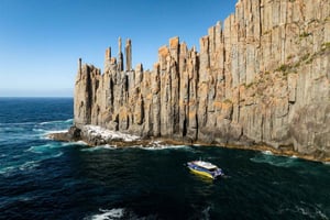 Depuis Hobart : Port Arthur Cape Raoul Wilderness Cruise