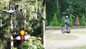 Hollybank Treetops Adventure
