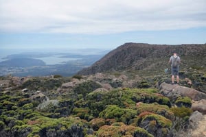 クナニ & マウントウェリントン エクスプローラーバス: 片道バスパス