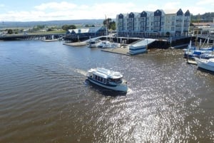 Launceston: 50-minuters kryssning i Cataract Gorge