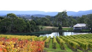Milton Vineyard