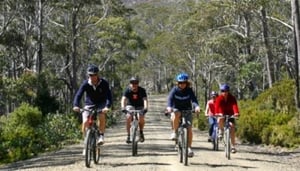 Mountain Bike Tasmania