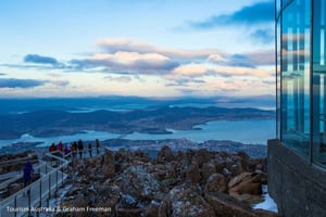 Mt Wellington och Hobart: Utflykt från hamnen (privat tur)