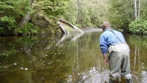RiverFly Tasmania