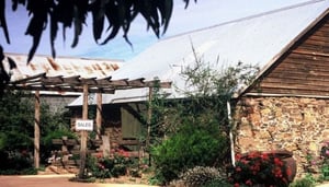 Spring Vale Vineyards